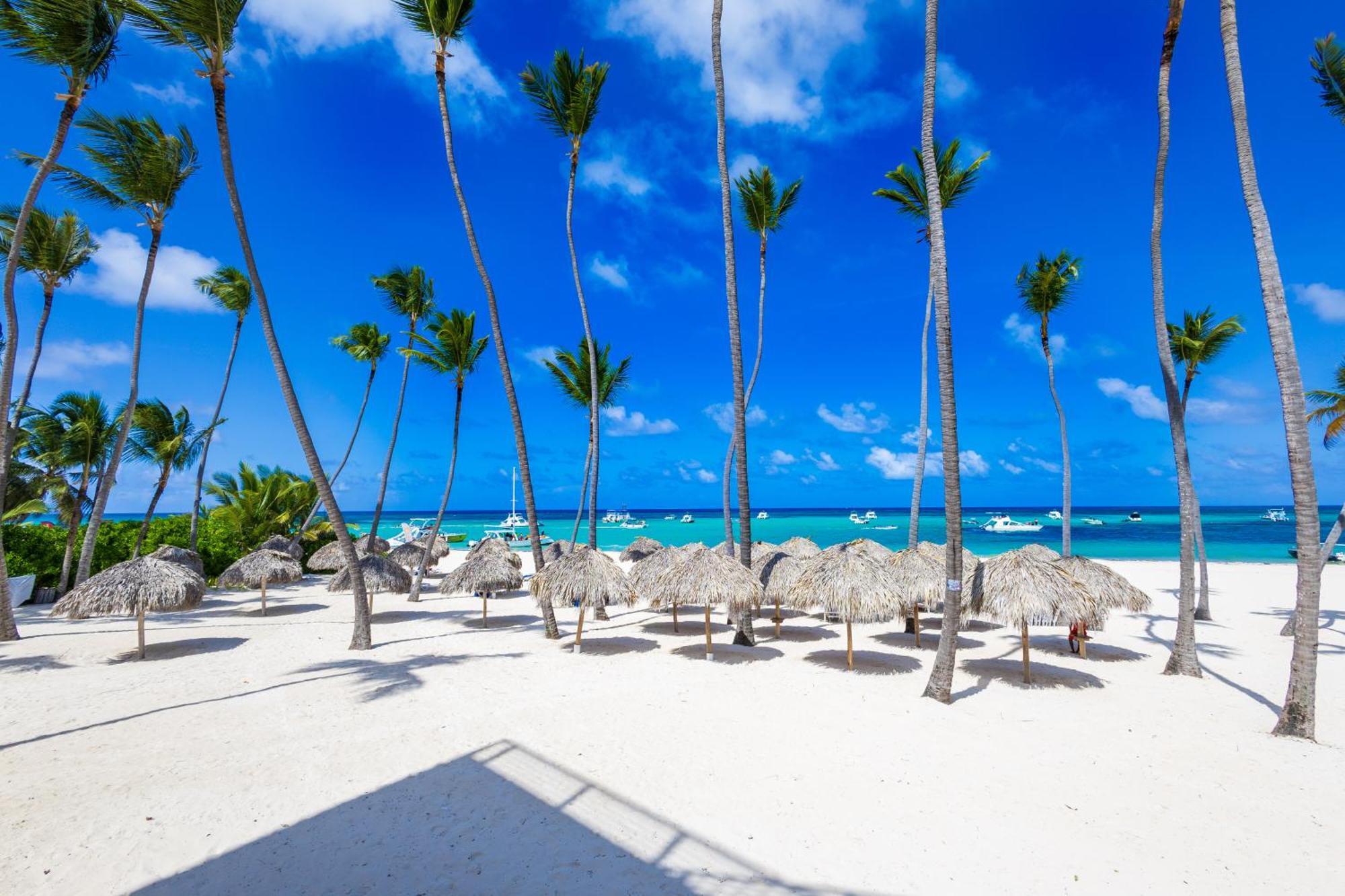 Appartement Prime Ocean View - 3-bedroom Getaway With Private Terrace On Bavaro *
